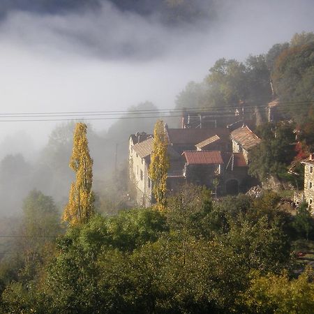 Mas La Donzelenche Hotel Vialas Стая снимка