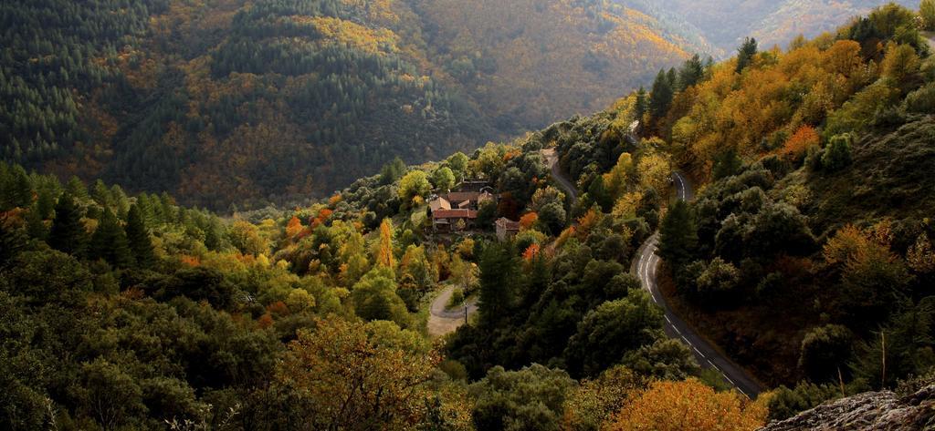 Mas La Donzelenche Hotel Vialas Стая снимка